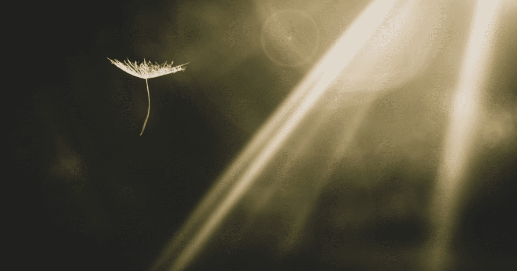 The Lesson I Learned (Again) About Comparing Myself To Anyone Else
